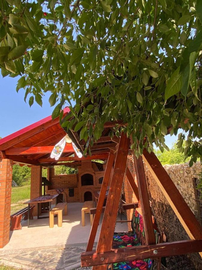Pensiunea Montana Săpînţa Exteriér fotografie